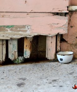 Vanduo ir maistas gatvės gyvūnams Valetoje.